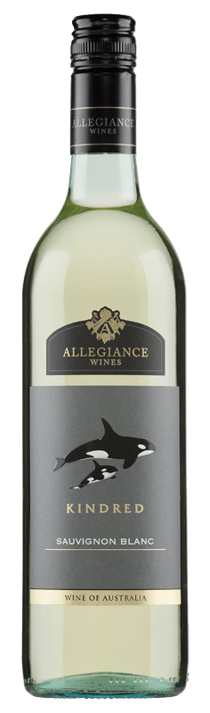 Allegiance Wines Kindred Sauvignon Blanc